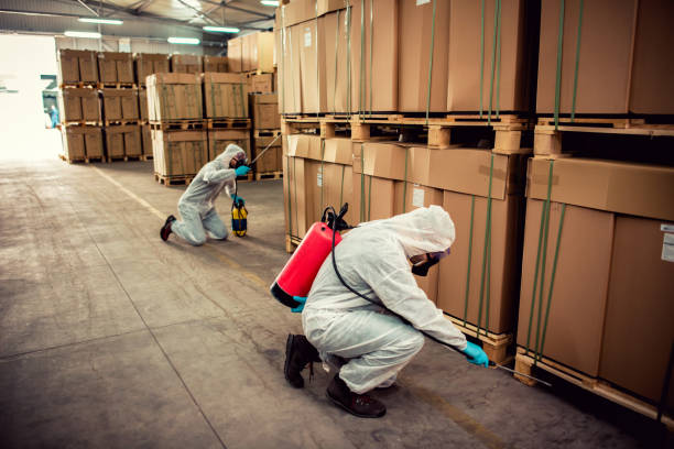 Best Exterminator Services  in Corning, AR