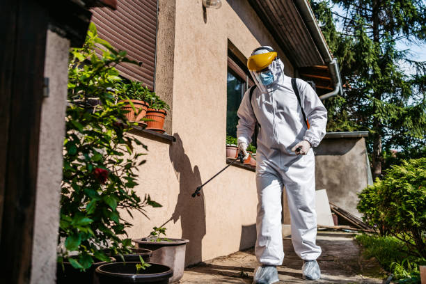 Best Residential Pest Control  in Corning, AR