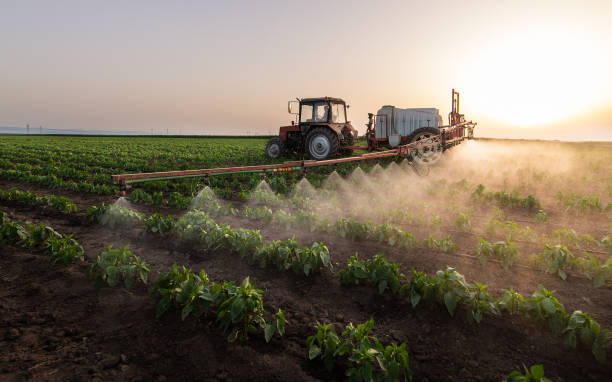 Best Pest Prevention Services  in Corning, AR