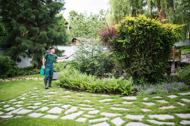 Pest Prevention Services in Corning, AR