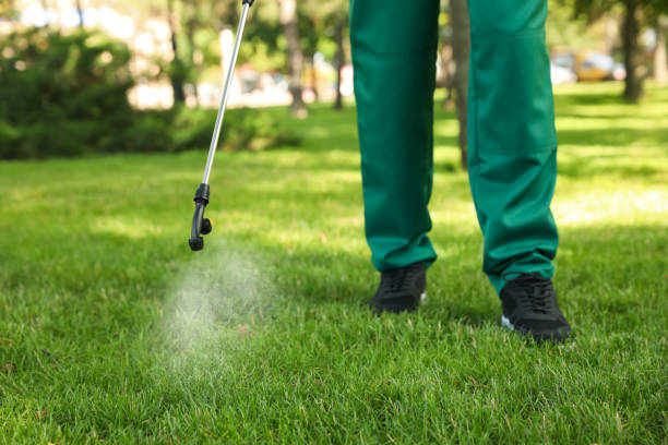 Best Exterminator Services  in Corning, AR