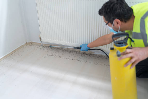 Best Commercial Pest Control Services  in Corning, AR
